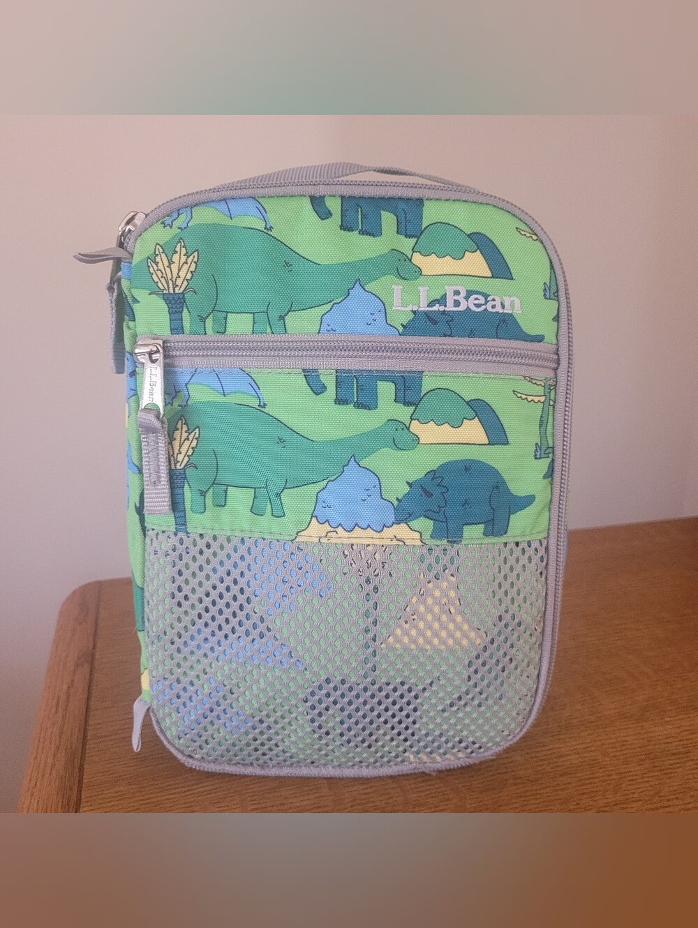 🚨3/$20🚨L.L. Bean Green Dinosaur Kids Lunch Bag with Gray Trim